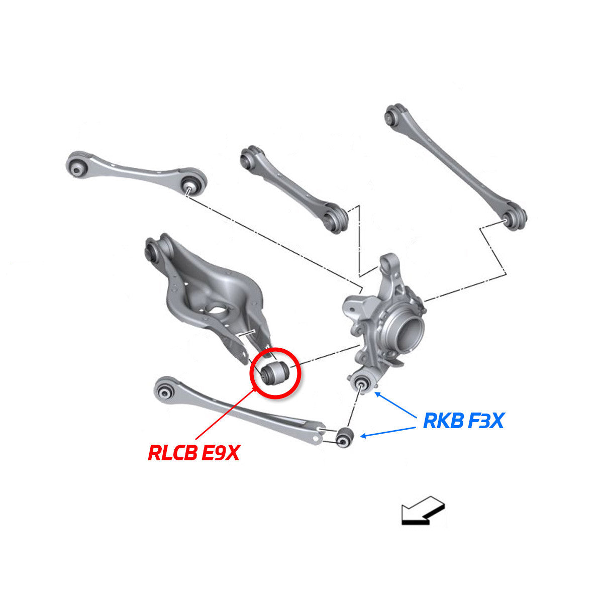 SPL BMW E9X/E8X/F2X/F3X/F8X/G8X Rear Lower Control Arm Knuckle Bushing