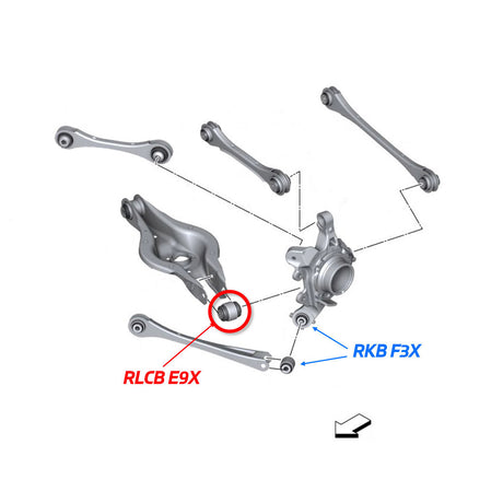 SPL BMW E9X/E8X/F2X/F3X/F8X/G8X Rear Lower Control Arm Knuckle Bushing