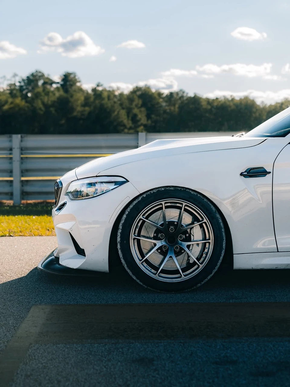 Paragon 2-piece Rotors Front Pair 400mm x 36mm (15.75" x 1.42") - BMW M2 (F87) / M3 (F80) / M4 (F82/F83)